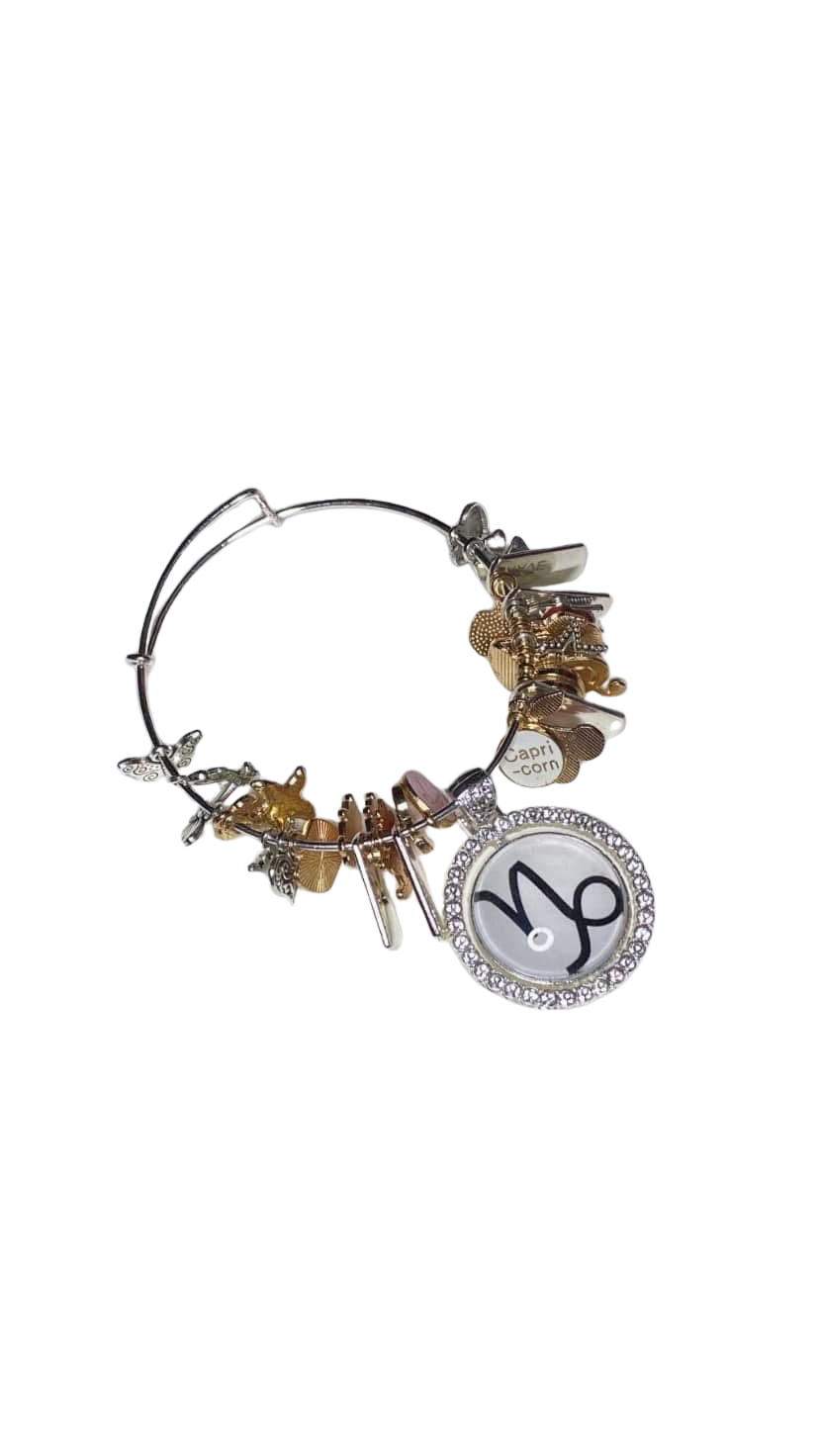 Zodiac Charm Bracelets