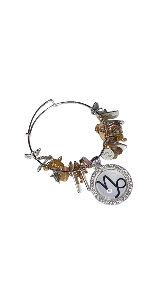 Zodiac Charm Bracelets